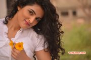 2014 Still South Actress Sukratha Wagle 7900