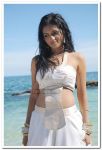 Actress Sunaina Photos 012