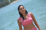 Tamil Actress Sunaina 6234