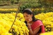 Tamil Actress Sunaina 7220