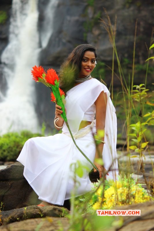 Sunulakshmi Tamil Movie Actress New Pictures 1546