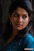 Tamil Actress Swasika 4301