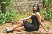 Tamil Actress Swathi Deekshit Photos 6133