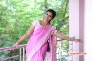 Actress Gallery Swathi Reddy In Saree 926