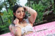 Tamil Actress Swati Photos 2913