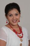 Tamil Actress Swetha Rao 2845