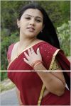 Swetha Stylish Pics 2