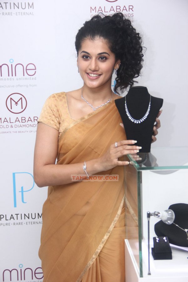 Tamil Actress Taapsee Pannu Photos 8425