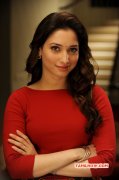 2015 Galleries Tamanna Film Actress 7431