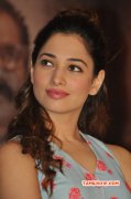 2015 Photo Tamanna Film Actress 6477