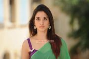 Actress Tamanna 2624