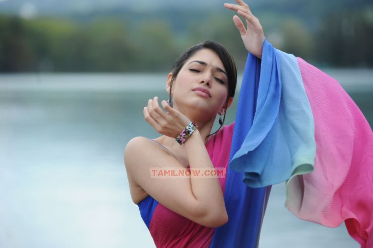 Actress Tamanna 2894