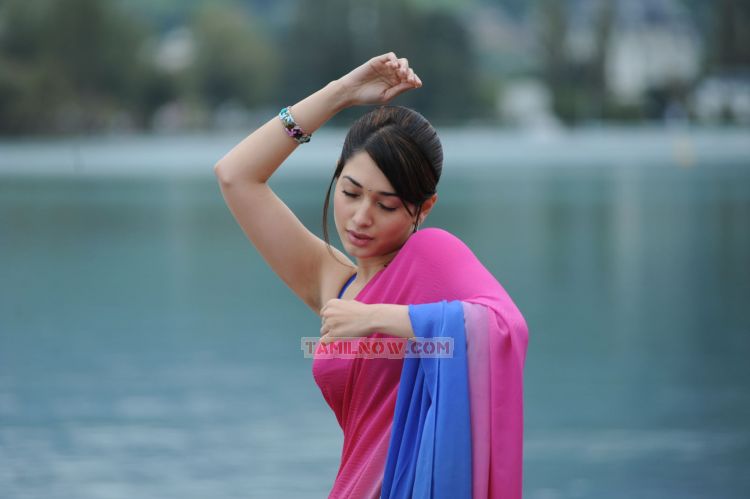 Actress Tamanna 3187