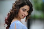 Actress Tamanna 339