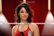 Actress Tamanna New Hot Stills6