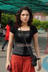 Actress Tamanna Photos 9382