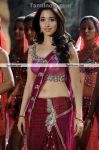 Actress Tamannah New Stills 6