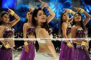 Actress Tamannah New Stills 8