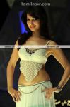 Actress Tamannah New Stills 9