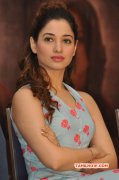 Cinema Actress Tamanna Dec 2015 Photo 3716