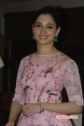 Film Actress Tamanna 2014 Picture 8085