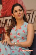 Gallery Film Actress Tamanna 3897