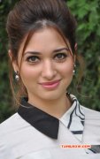 Images Indian Actress Tamanna 2997