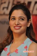 Latest Stills Tamanna Tamil Heroine 741