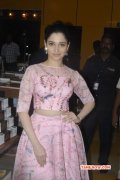 South Actress Tamanna Albums 5417