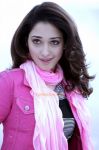 Tamanna 244