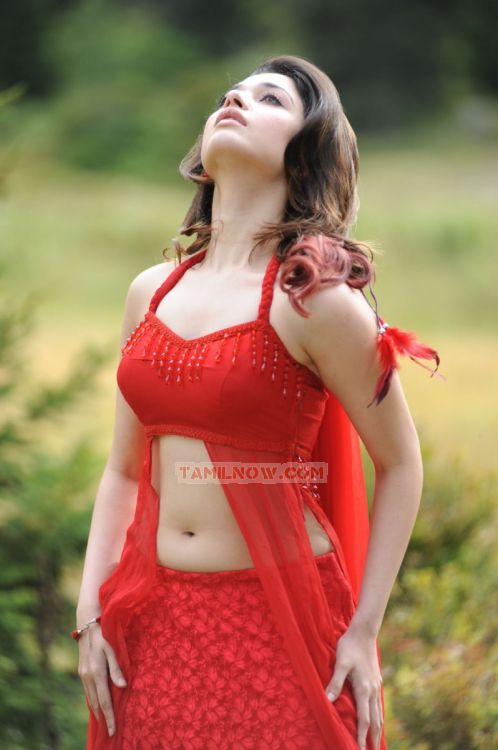 Tamanna 2508