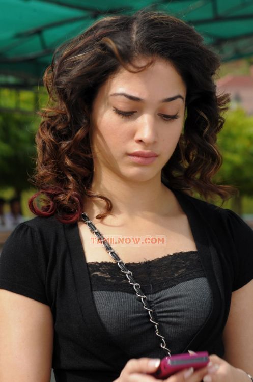 Tamanna 2533