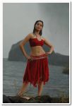 Tamanna 29