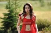 Tamanna 3626