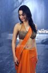 Tamanna 4879