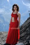 Tamanna 5845