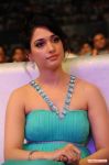 Tamanna 6941