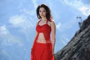 Tamanna 789