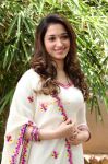 Tamanna 7973