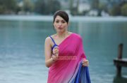 Tamanna 8367