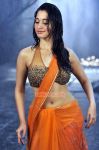 Tamanna 846