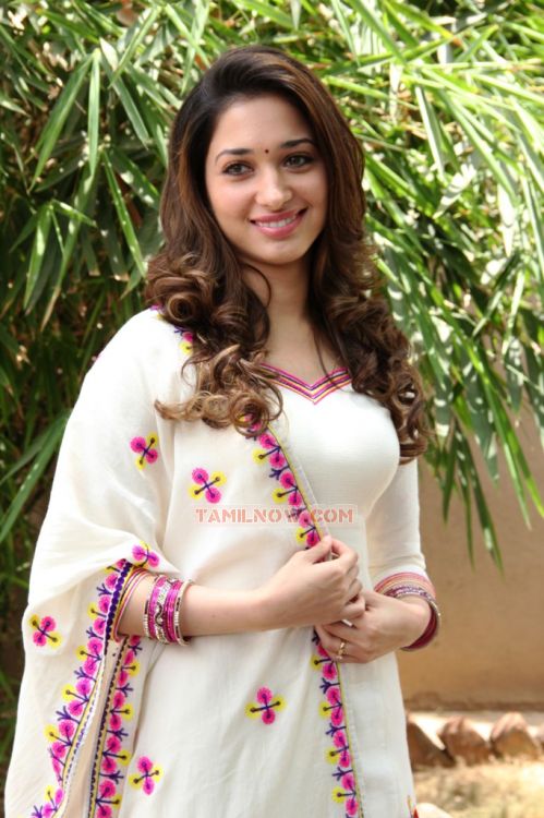 Tamanna 9507