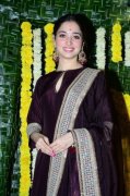 Tamanna Actress Latest Photo 206