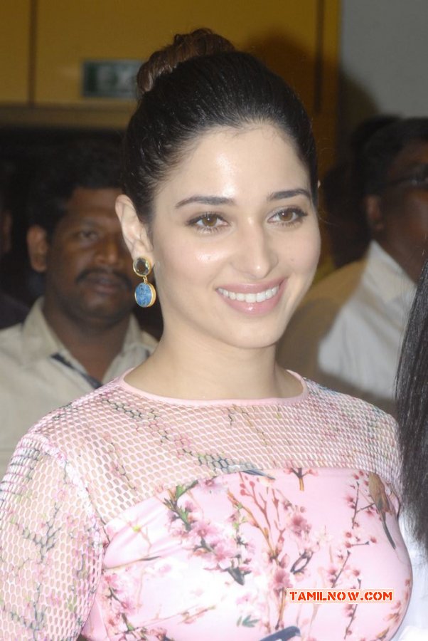 Tamanna Actress Wallpaper 4666