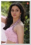 Tamanna Hot Still 2