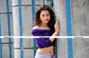 Tamanna Latest Pictures16