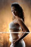 Tamanna New Hot Still 5