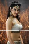 Tamanna New Hot Still 7