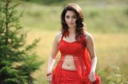 Tamanna Stills 1623