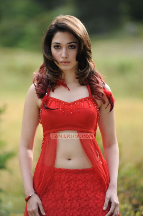 Tamanna Stills 1882